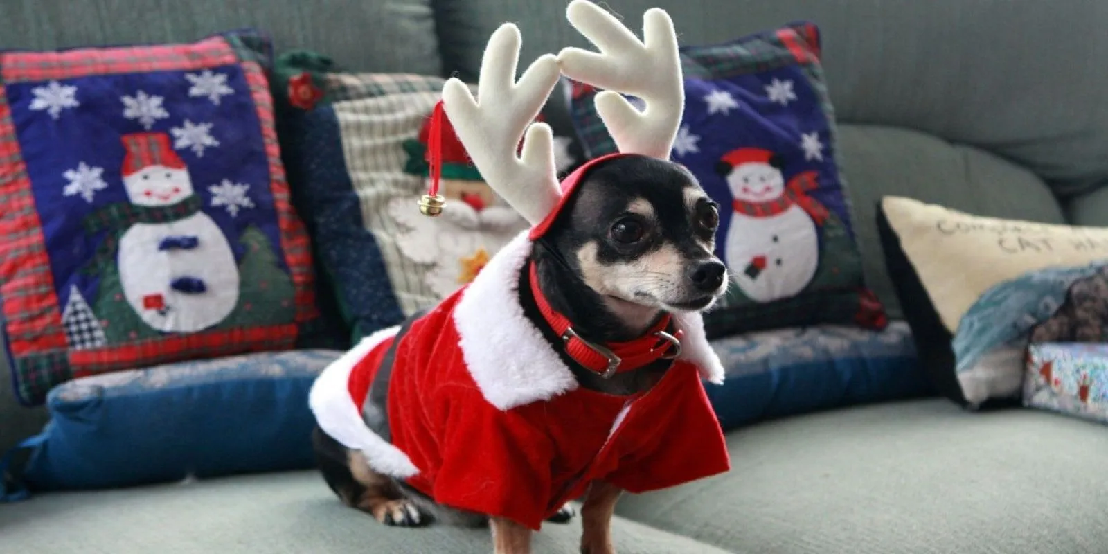 Graphic design work by Hamdan Ibne Muneer